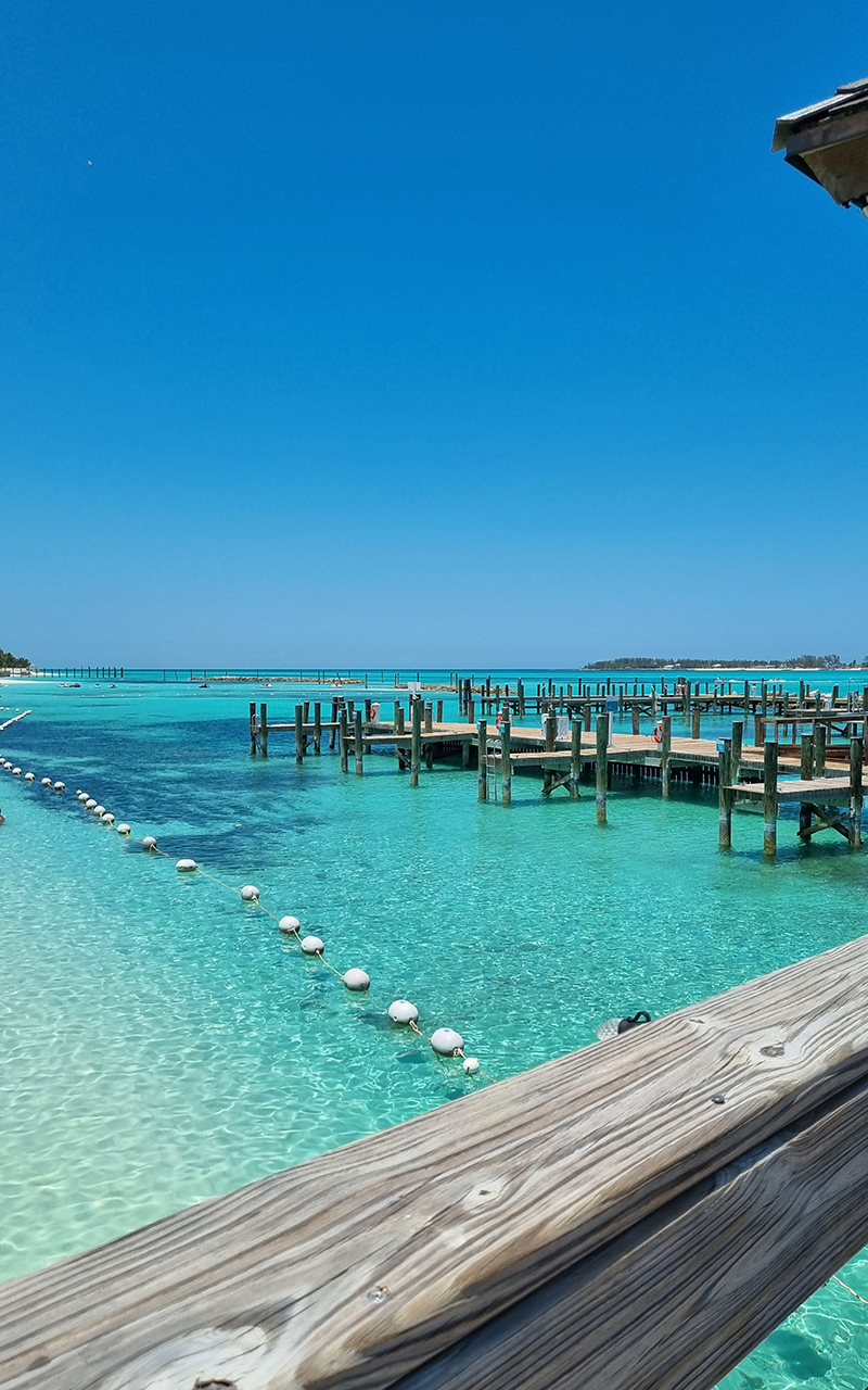 viajes ceci lettiere